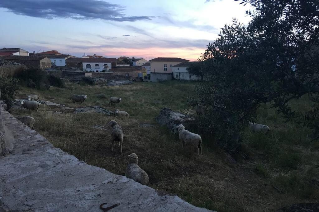 Casa - Apartamento Rural La Tahona Del Abuelo Plasenzuela Екстериор снимка