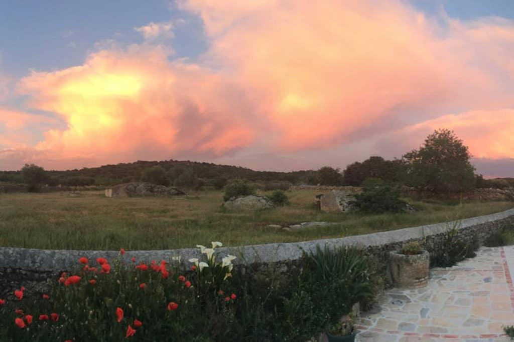 Casa - Apartamento Rural La Tahona Del Abuelo Plasenzuela Екстериор снимка