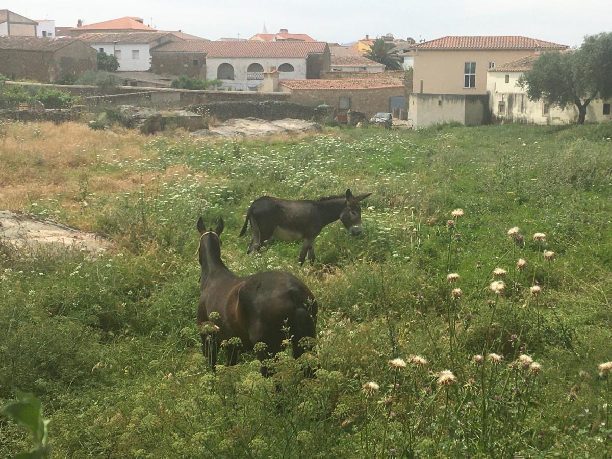 Casa - Apartamento Rural La Tahona Del Abuelo Plasenzuela Екстериор снимка